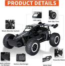 Carrinho off-road com controle remoto