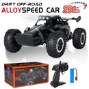 Carrinho off-road com controle remoto